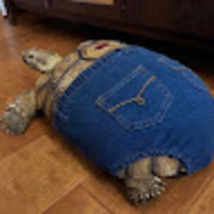 Meet your Posher, Unknown